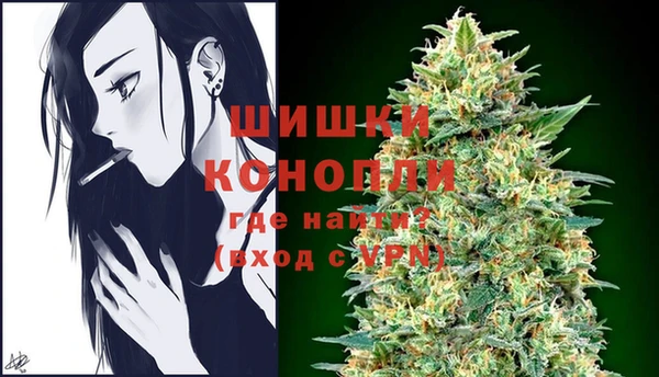 твердый Кулебаки