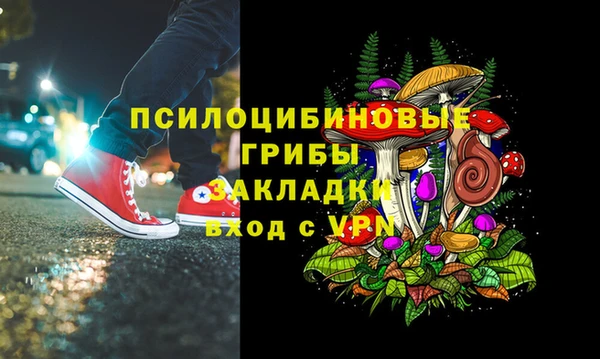 молекула духа Лабытнанги