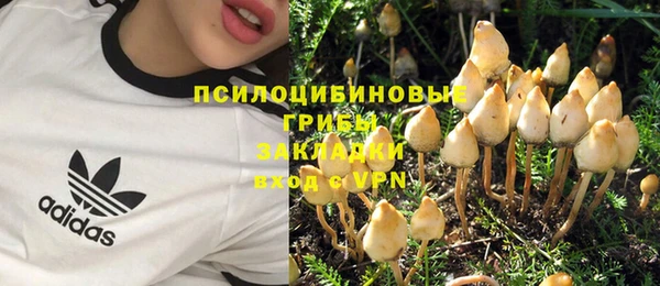 молекула духа Лабытнанги