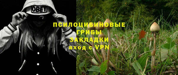 молекула духа Лабытнанги