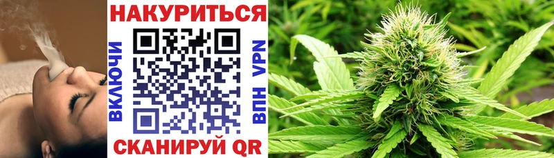 Купить  Сортавала  Каннабис план 